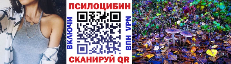 Псилоцибиновые грибы прущие грибы  Купить  Барыш 
